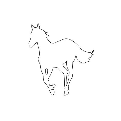Original album cover for White Pony by Deftones